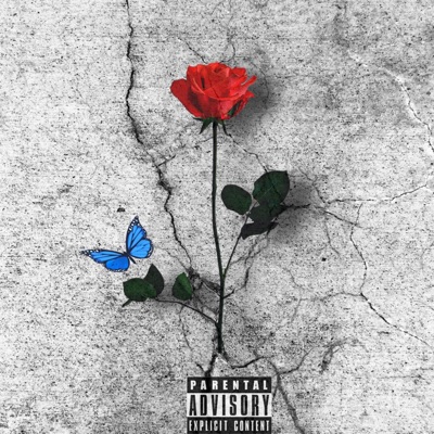 Beat the Odds - Single