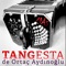 Tango for Janne No.3 (TfJ3) artwork