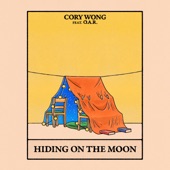 Hiding On the Moon artwork