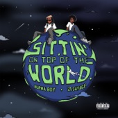 Sittin' On Top Of The World artwork