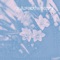 Paperwhite - terrence bicycle lyrics