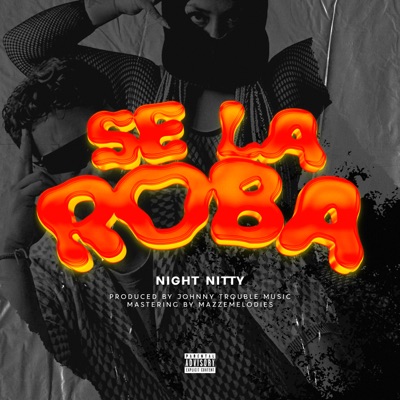 Se la Roba - Single