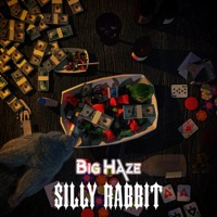 Silly Rabbit (Radio Edit) [Radio Edit] - Single - Big Haze