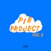 PIB Project Vol.3 (Vacation) [feat. Samin] - Single