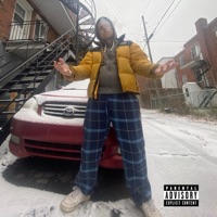 DANS TA FACE - Single - SeinsSucrer