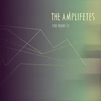 You Want It — The Amplifetes