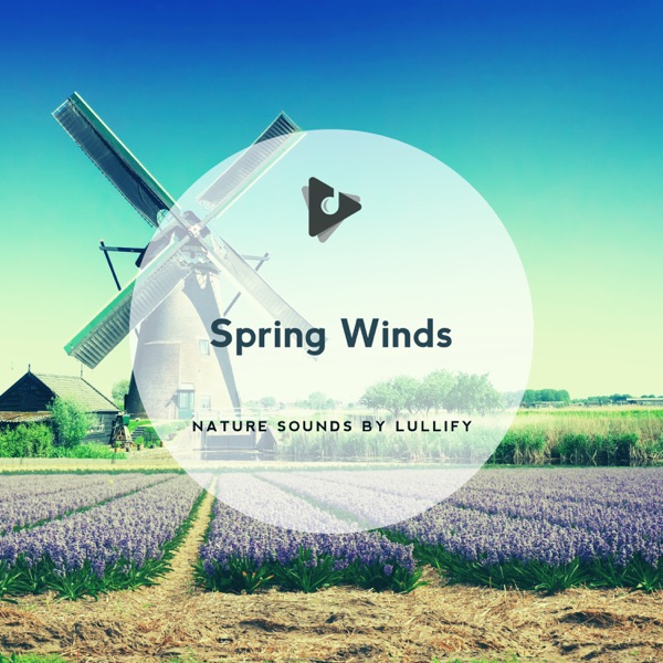 Spring Winds