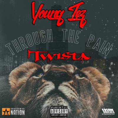 Through the Pain (feat. Twista) - Single