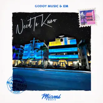 Need to Know by Godoy Music & EM song reviws