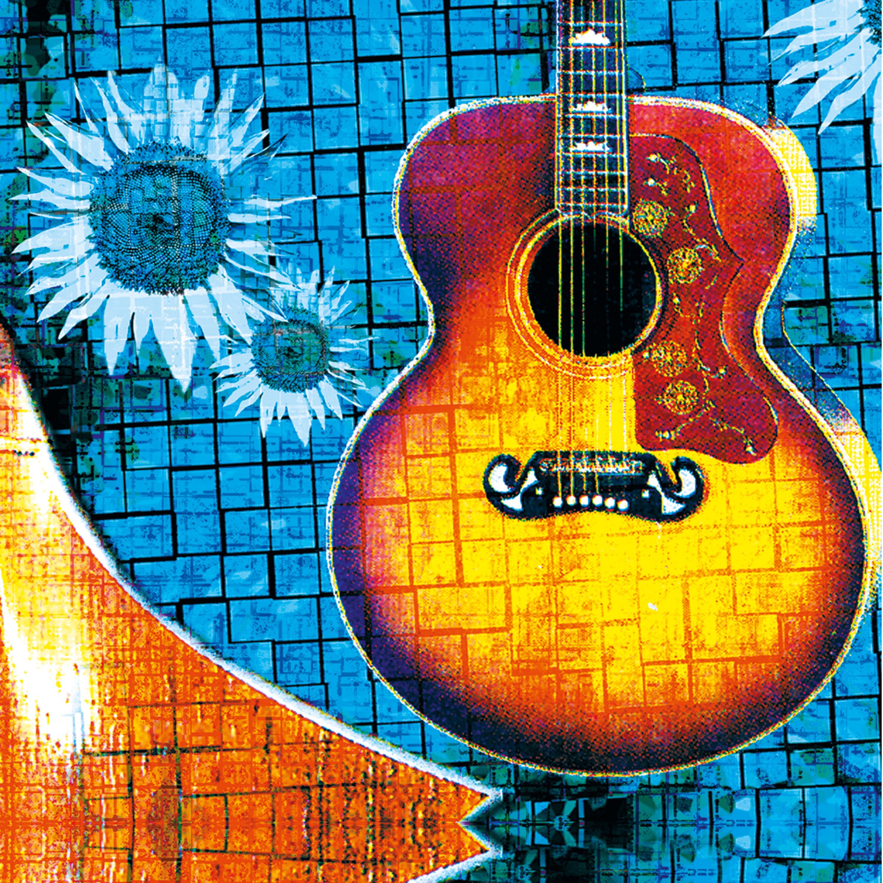 Folk & Blues Guitar