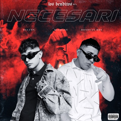 Necesari (feat. Donovan Boy & Dulzón) - Single