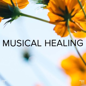 !!!" Musical Healing "!!!