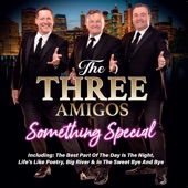 The Three Amigos Slosh Medley artwork
