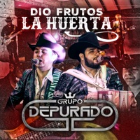 Dio Frutos la Huerta - Single - Grupo Depurado