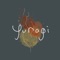 Yuragi (feat. Cleafrookie, Shimpei & Sally) - chop the onion lyrics