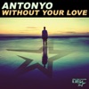 Without Your Love - Single