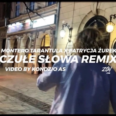 CZUŁE SŁOWA (feat. Patrycja Żurek) [REMIX] - Single