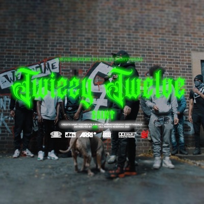 Twizzy Twelve - Single