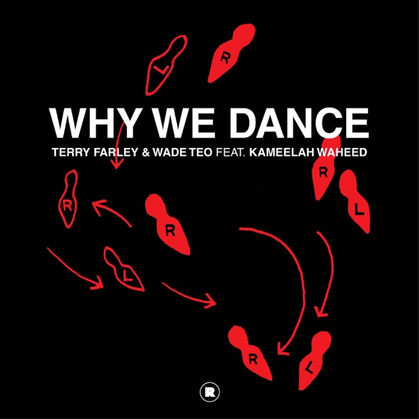Why We Dance (feat. Kameelah Waheed) - Single
