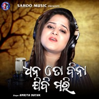 Dhana Mora To Bina Jibi Mari - Single - Amrita Nayak