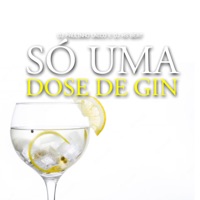 Só uma Dose de Gin - Single - DJ Paulinho Unico & DJ HS Beat