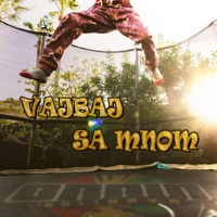 Vajbaj sa mnom - Single - Brain Holidays