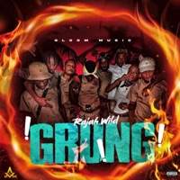 Grung - Single - RajahWild