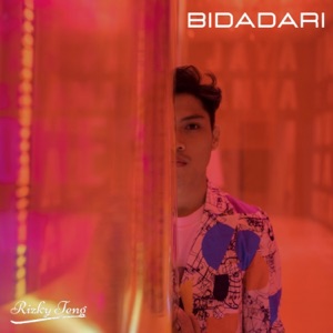 Bidadari Album Art