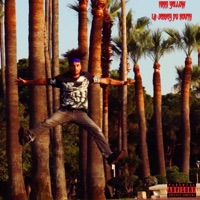 La jersey du south - EP - Nikki Yellow