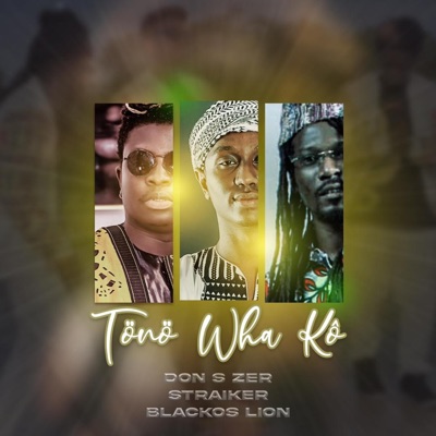 Tönö Wha Kô (feat. Straiker & Blackos Lion) - Single