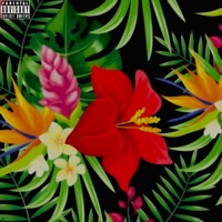 Comfy - Single - 7DAZE