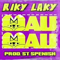 BAU (feat. St Luca Spenish) - Single - Riky Laky