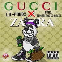 Gucci x Zara - Single