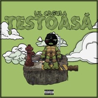 Testoasa - Single - LilCagula