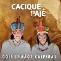 Canoeiro