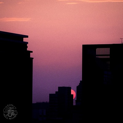 Highrise - Single