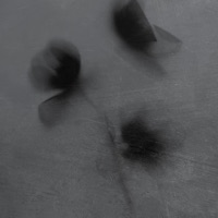 Worth It - Single - Kanashi