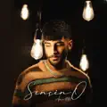 Sensin O