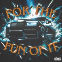 FOR the FUN of IT (feat. Buransuu) - Single - BALLI