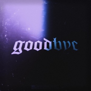 Goodbye - Single