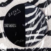 ZEBRA, Vol. 2 - Single - Jaymie Silk