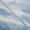 Frosty