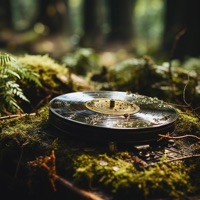 Your Vibe - Single - CATVLYST