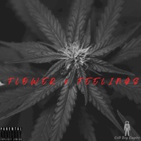 Flower & Feelings - Coolz Money