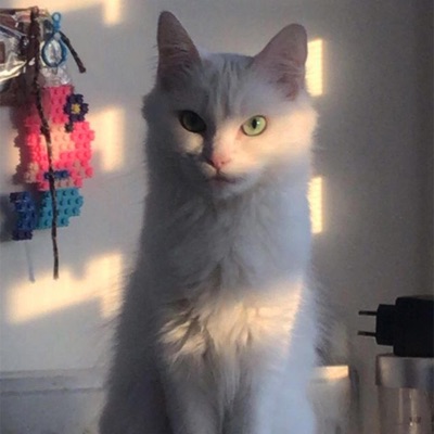 regardez mon ascension - Single