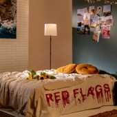 RED FLAGS artwork