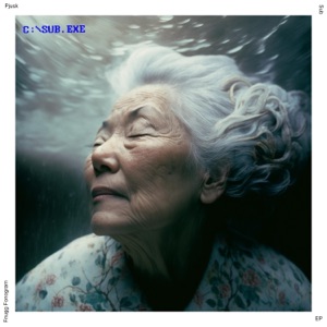 Sub - Single