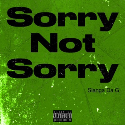 Sorry Not Sorry - Single