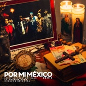 Por Mi México (Remix) [feat. Dharius, C-Kan, MC Davo & Neto Peña] artwork
