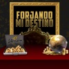 Forjando Mi Destino - Single